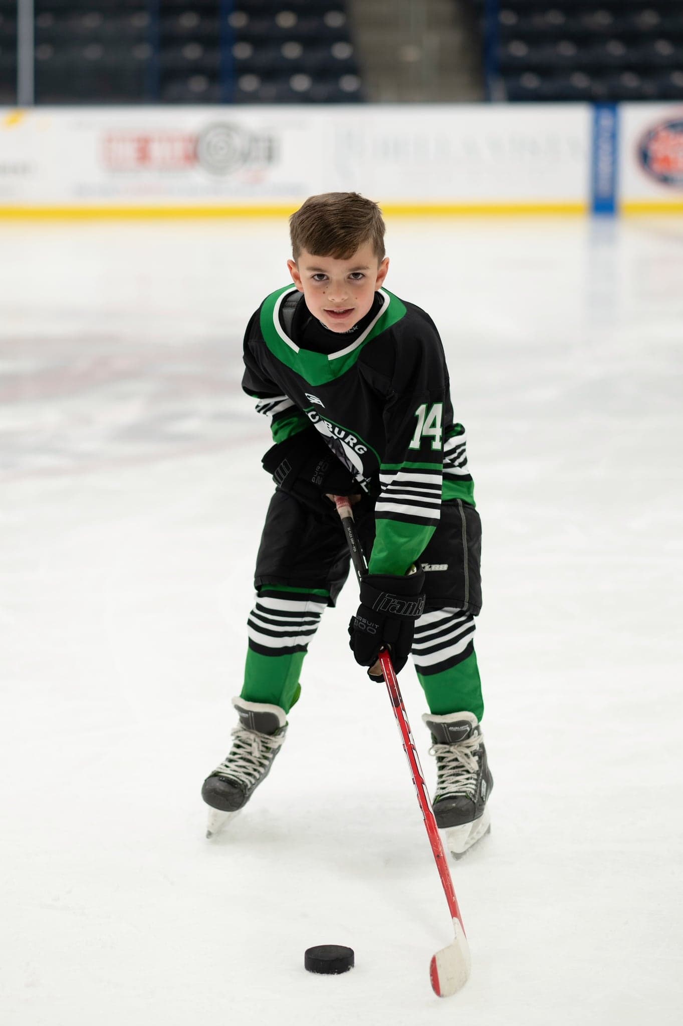 Coyotes player standing with stick on the puck